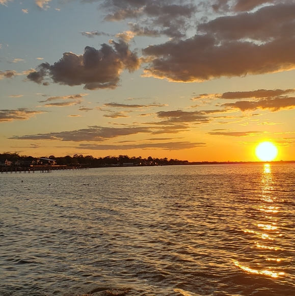 Meet your Posher, Stan - Picture 7 of 12